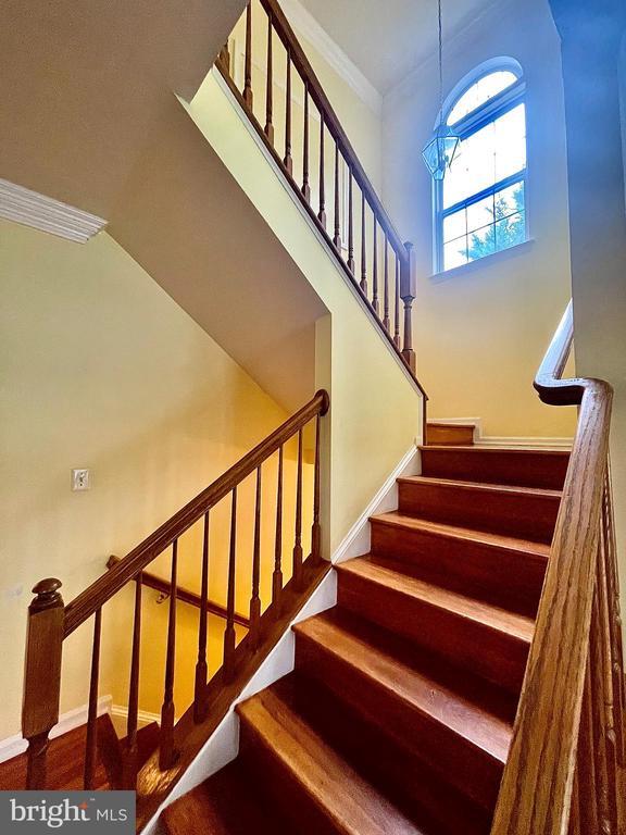 Building Photo - 6101 Newport Terrace