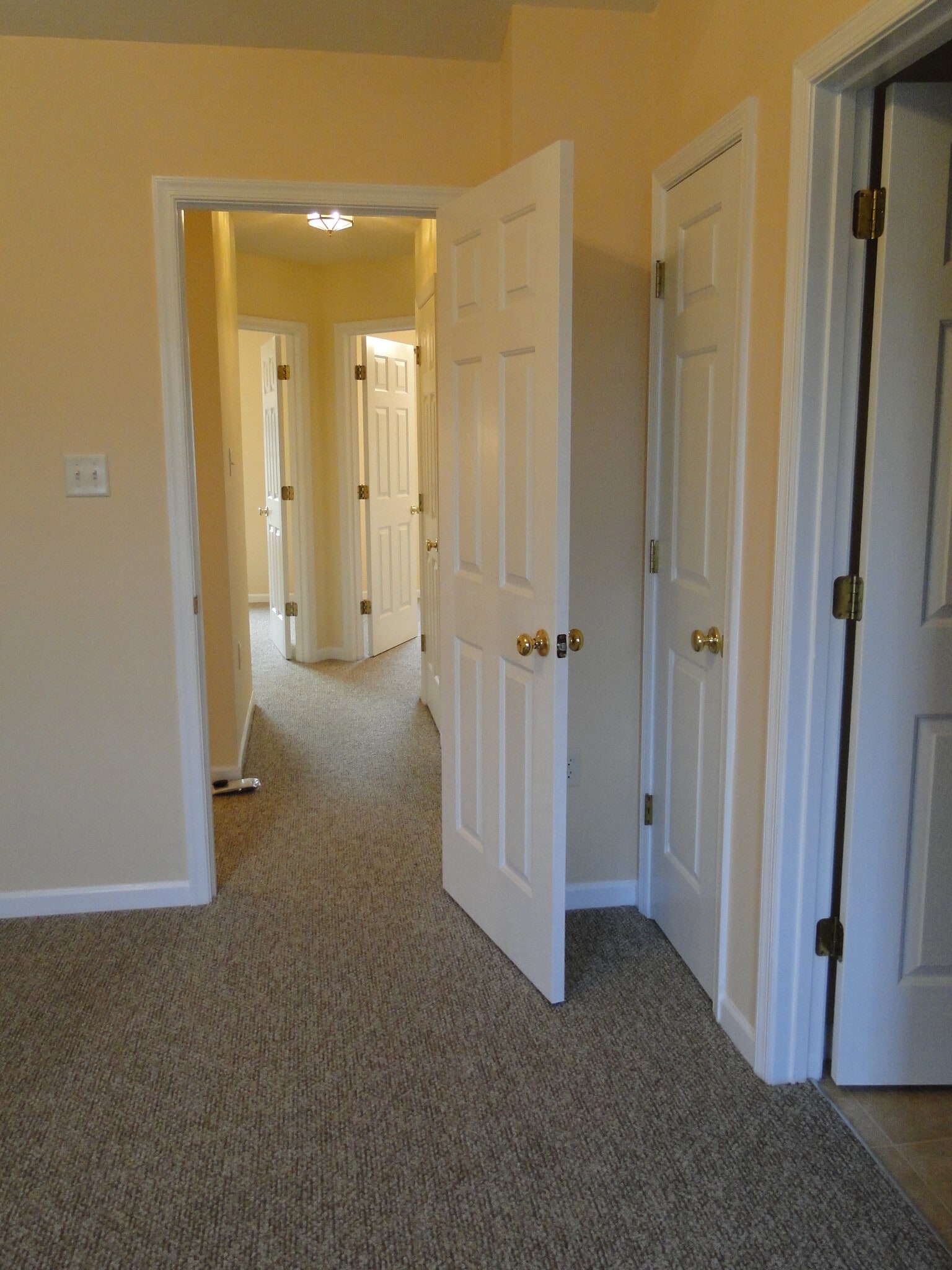 Building Photo - 1481 Miller Spring Ct