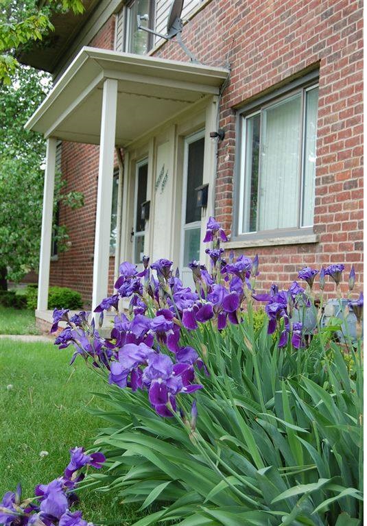 Primary Photo - Infinity Park Townhomes