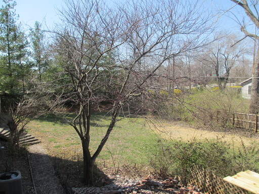 Building Photo - {10240}  Renovated Home in Cherry Hills+ H...