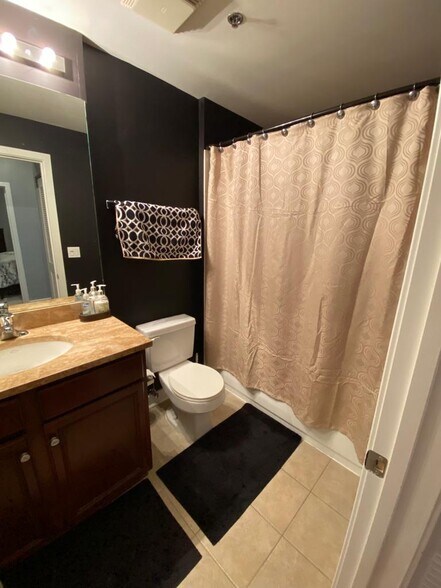 Guest Bath - 1305 S Michigan Ave