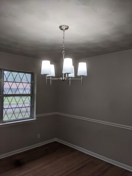 Front room ceiling fixture - 544 Willowood Ln