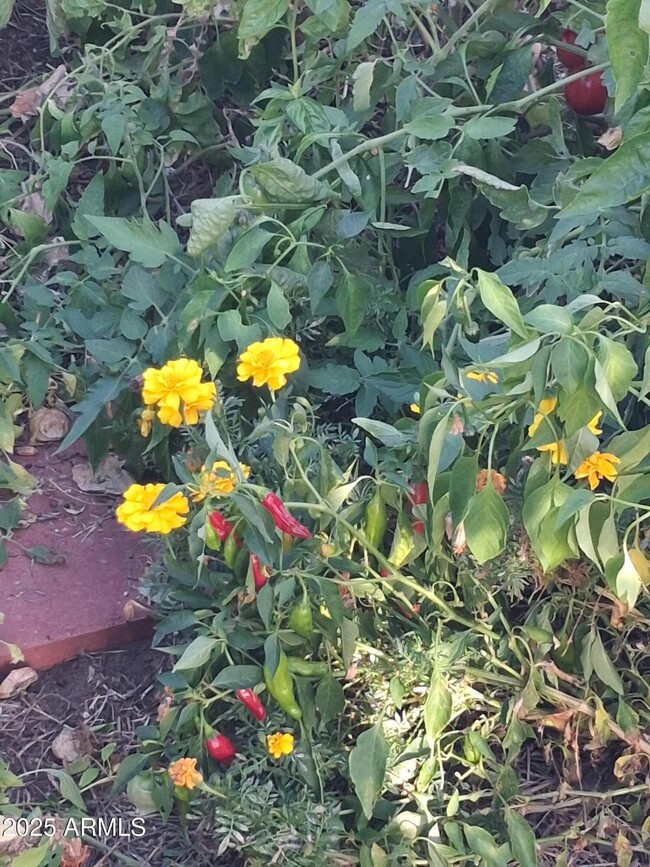 Building Photo - 4020 E Creek View Dr