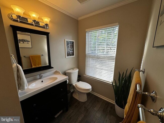 Building Photo - 3917 Captain Molly Cir
