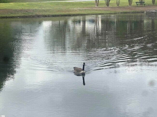 Building Photo - 522 Peach Grove Pl