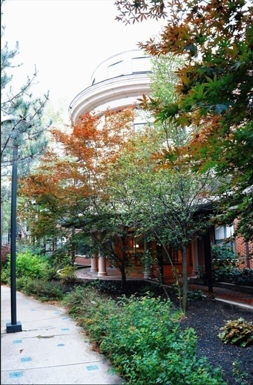 Building Photo - 110 Cypress St