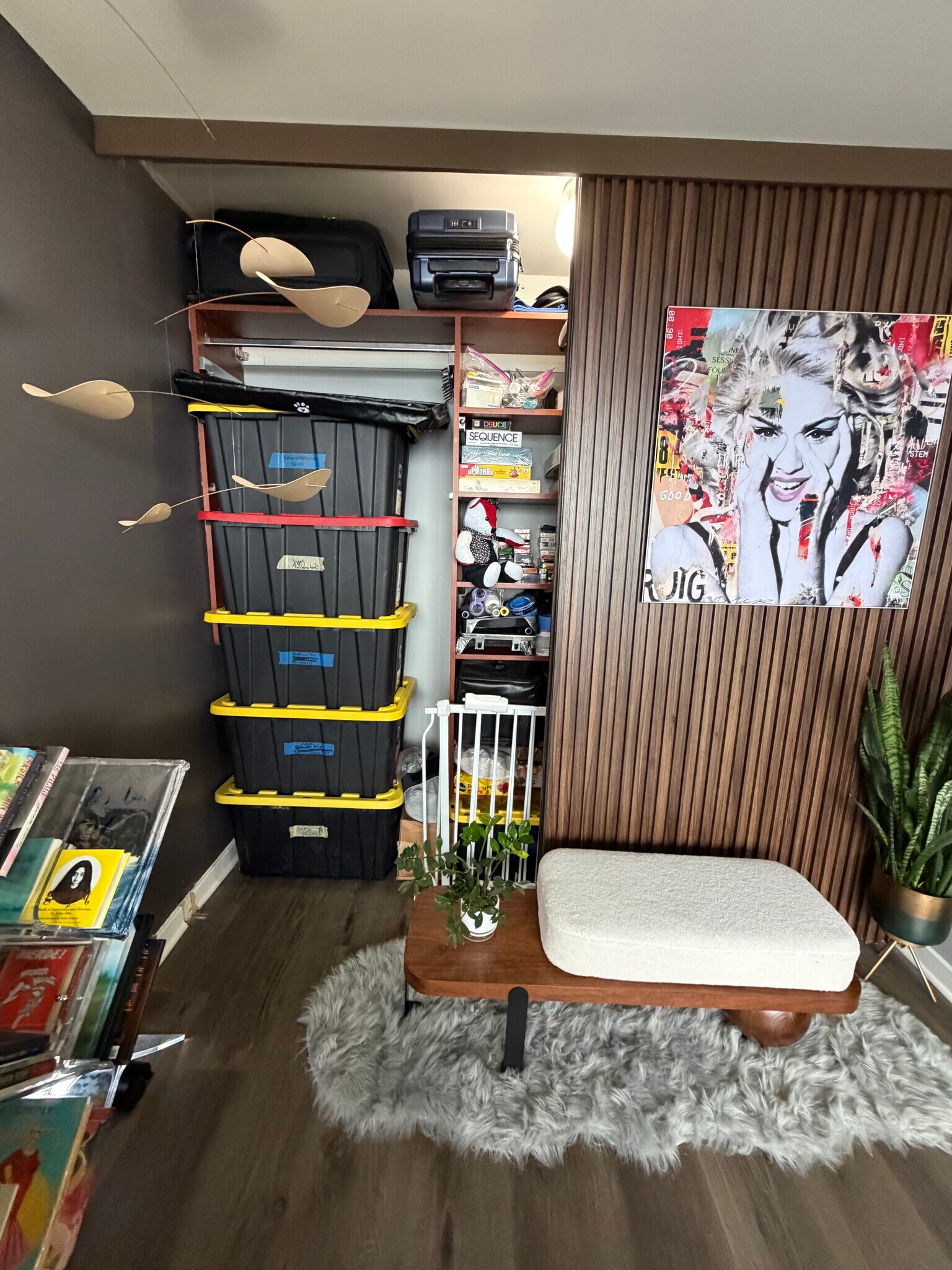 Built-in Storage with "Moving Wall" - 655 W Irving Park Rd