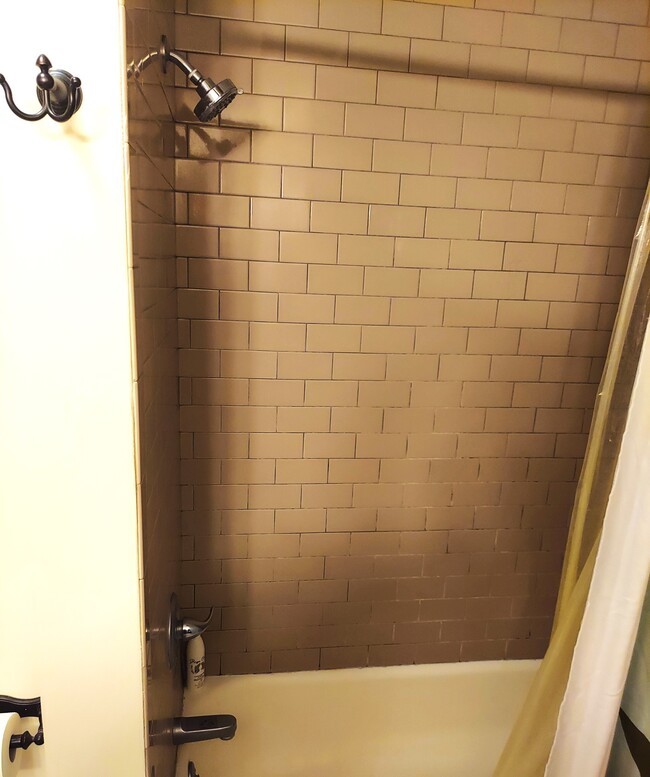 tub - shower - 111 W Vine St