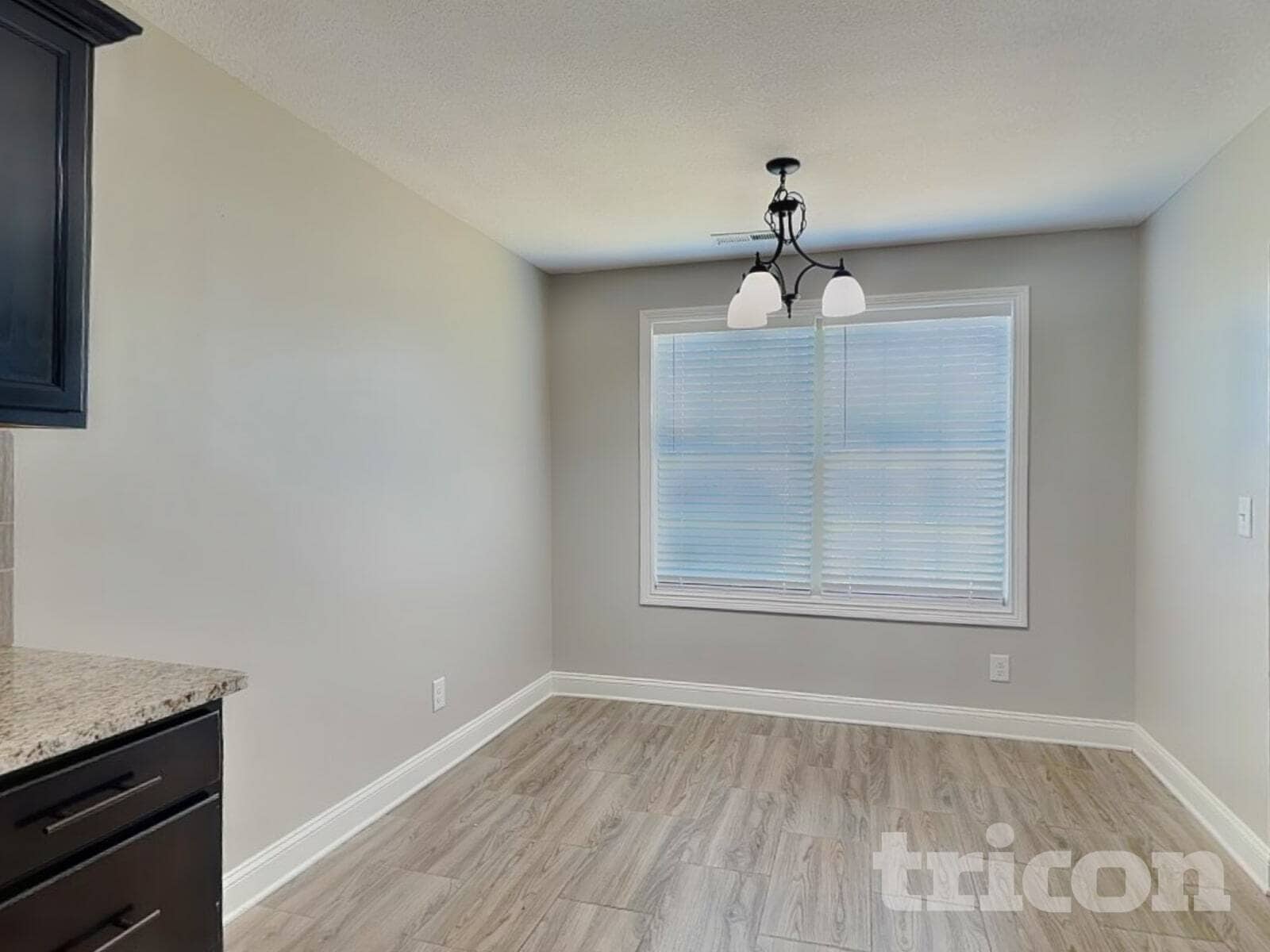 Building Photo - 1041 Charles Thomas Dr