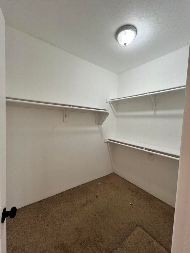Building Photo - 50342 San Capistrano Dr