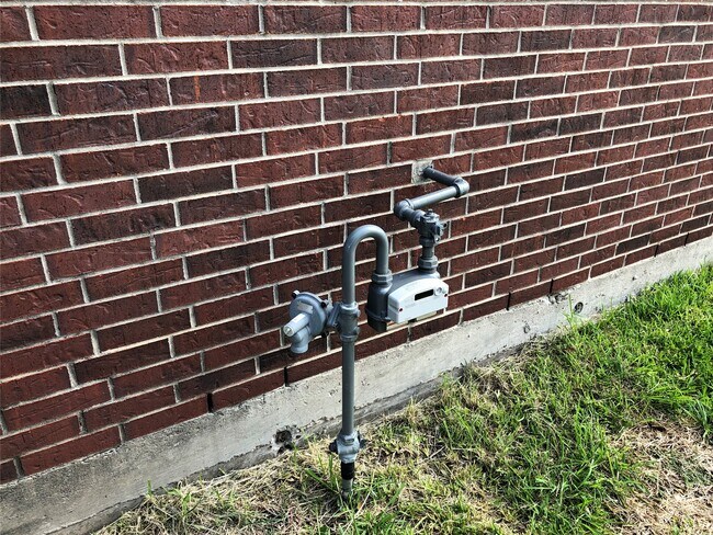 Building Photo - 8531 Ashford Green Ln