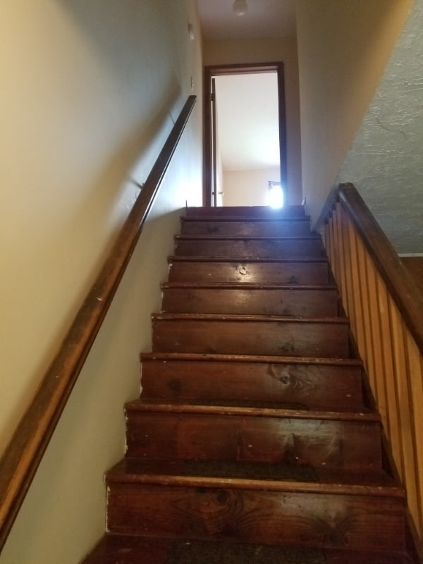 Building Photo - 1546 Black Birch Way