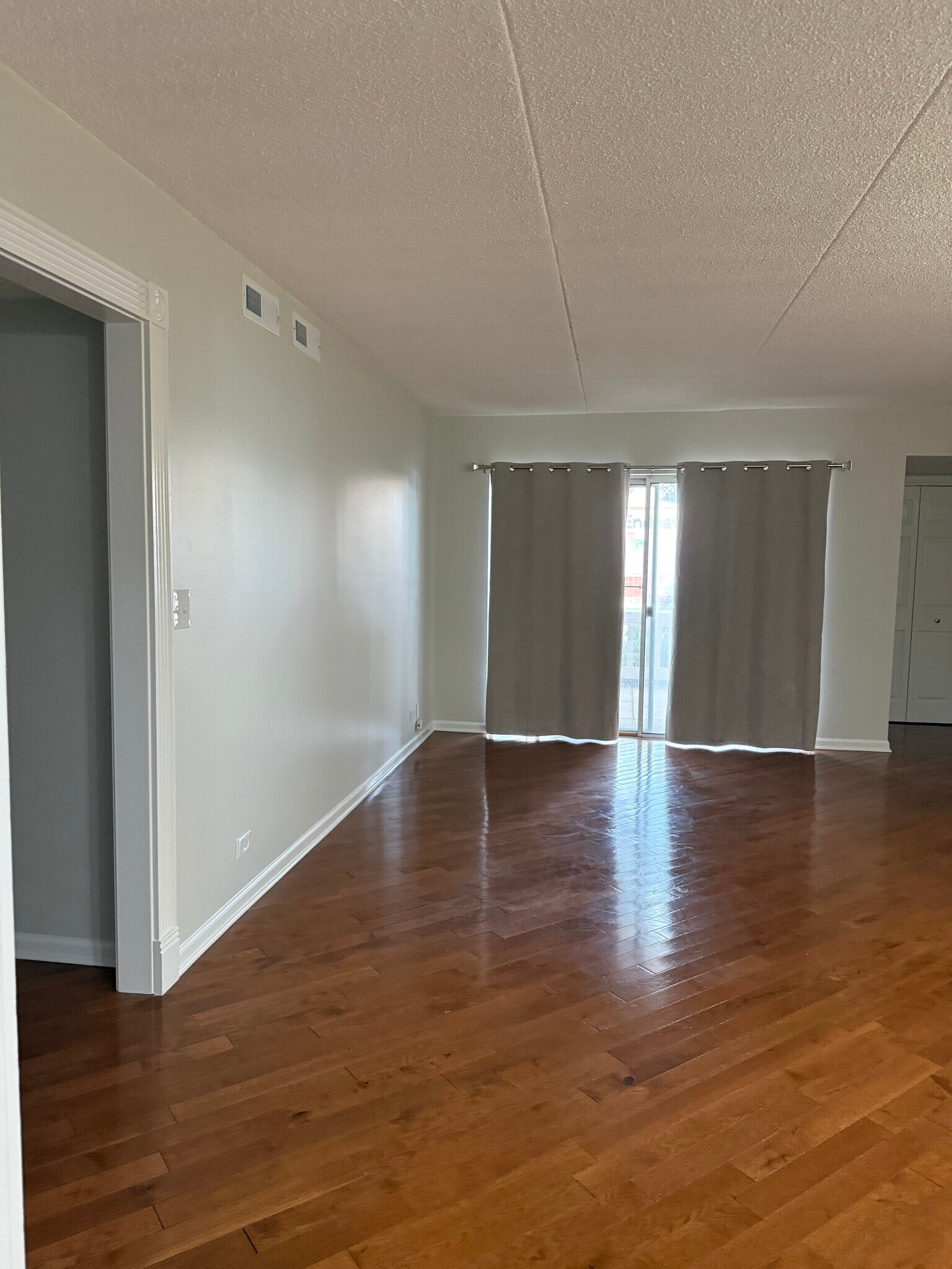 Living room - 4750 N Elston Ave