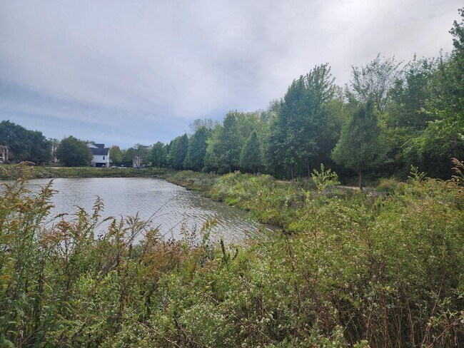 Building Photo - 982 Indigo Ct