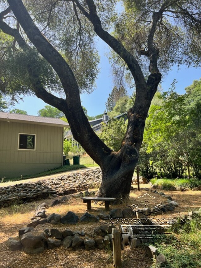 Building Photo - 13285 Sugarbush Ct