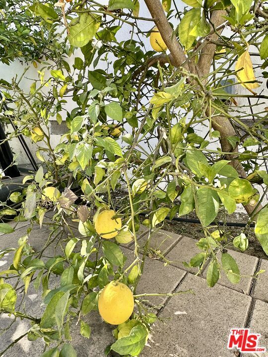 Building Photo - 128 S Swall Dr