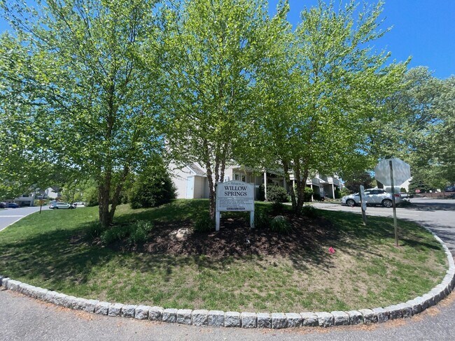 Building Photo - 307 Willow Springs