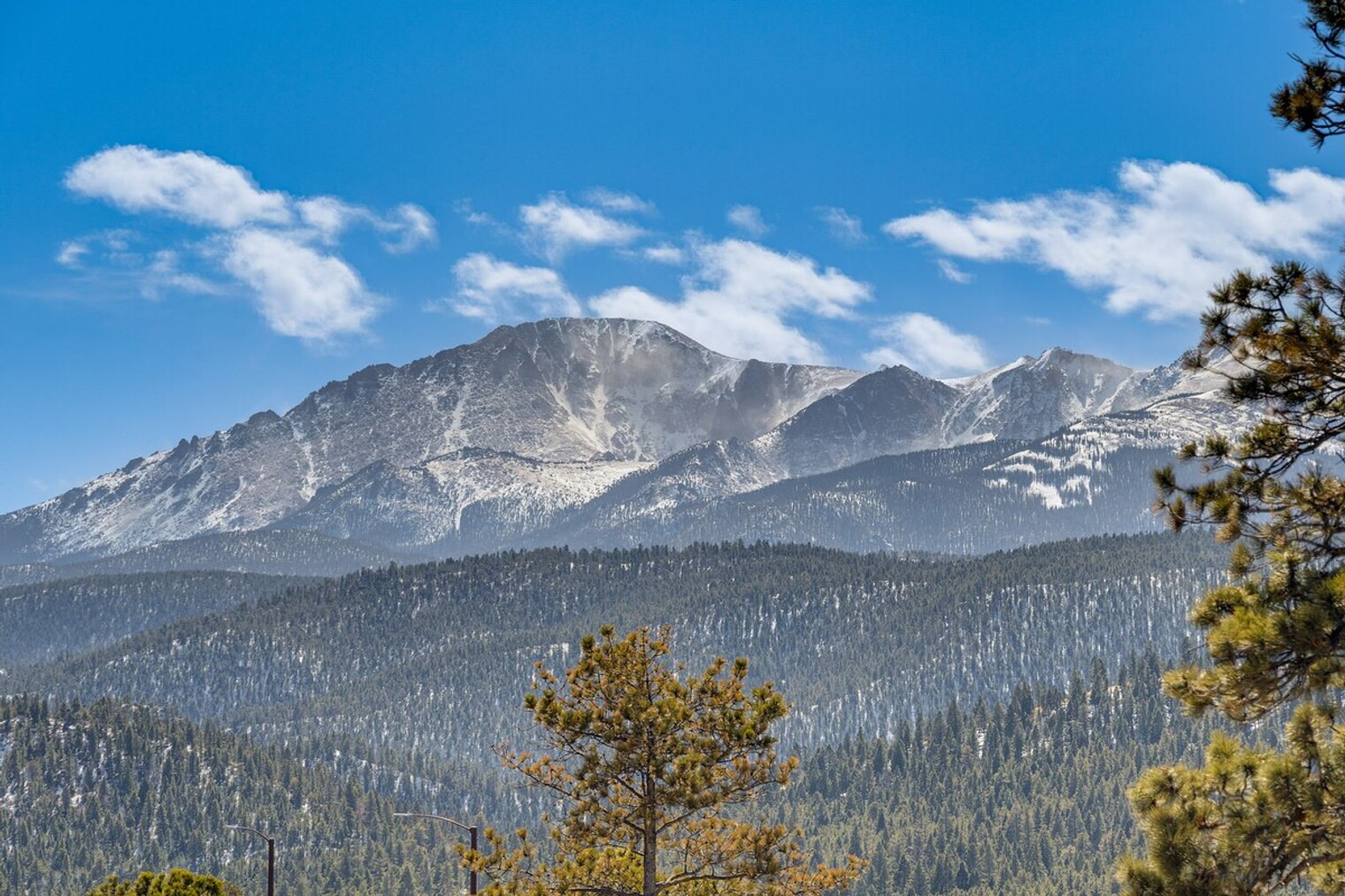 Building Photo - 320 E Gunnison Ave