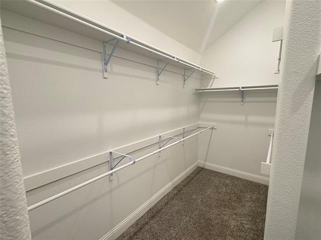 Building Photo - 2817 Bobcat Dr