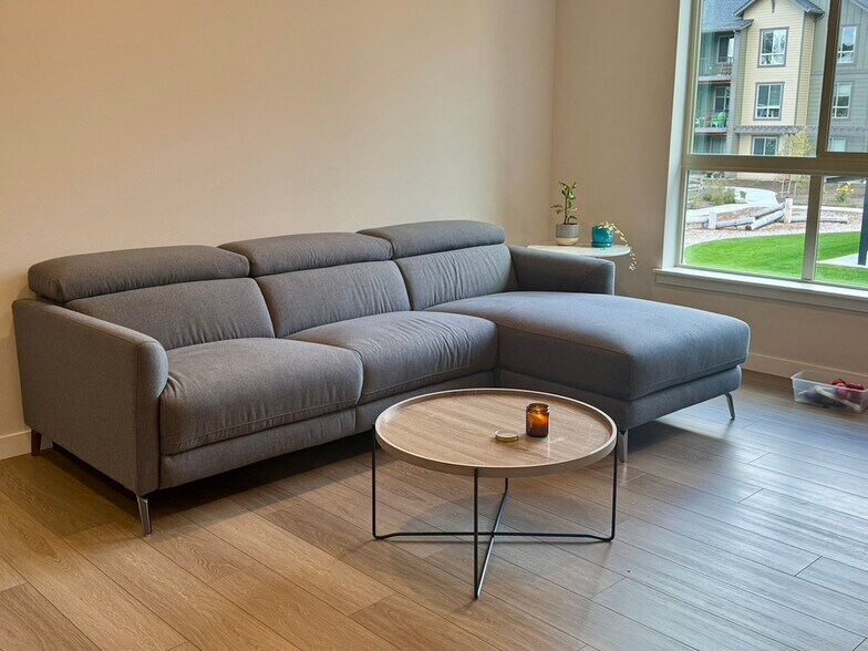 Living Room - 1230 Confluence Way SE