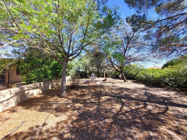 Building Photo - Spacious House