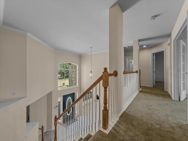 Building Photo - 5609 Freedom Ln