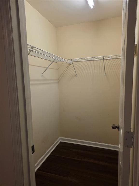 Building Photo - 411 Chatooga Ln