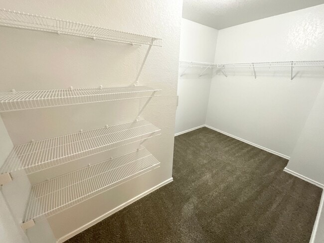 Building Photo - Outstanding 3 bedroom/2.5 bath home in established neighborhood just minutes from Lackland AFB an...