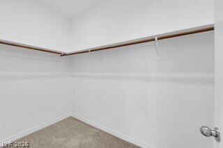 Building Photo - 3298 Viola Hls Ave