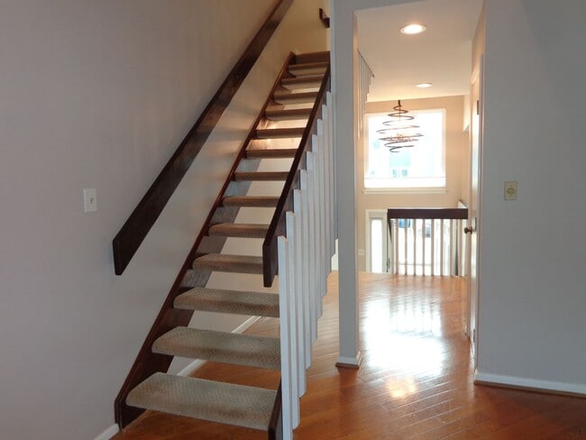 Building Photo - Shadowlawn - Shadow Cove Condominiums