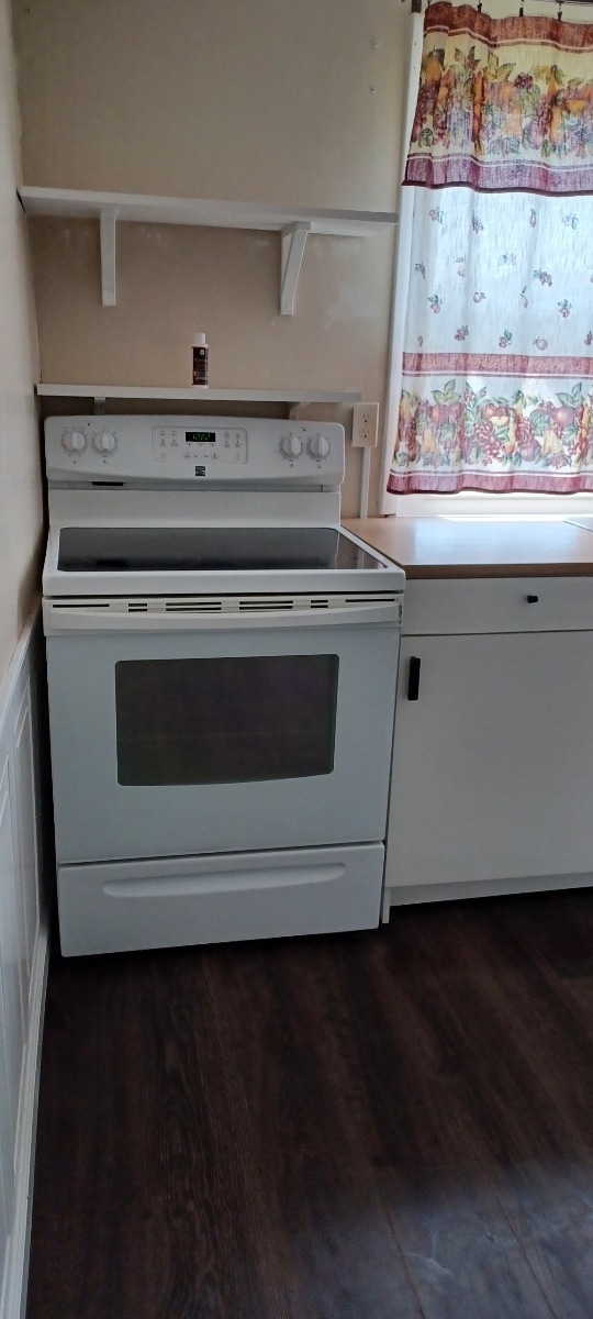 Stove and cabinets - 315 Ronceverte Ave