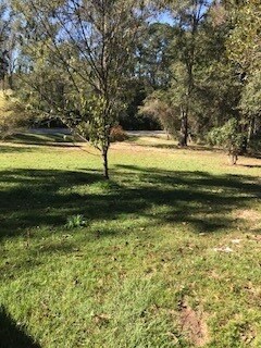 Building Photo - 2700 Pike County Lake Rd