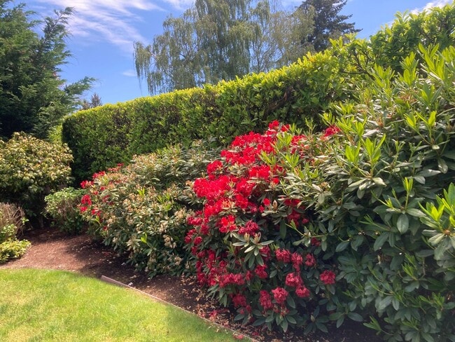 Building Photo - CLICK "REQUEST A TOUR" NOW!