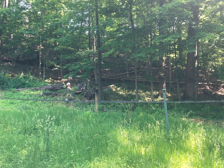 View - 1784 Crestmont Dr