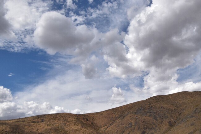 Building Photo - Cold Springs Beauty with View and RV Parking