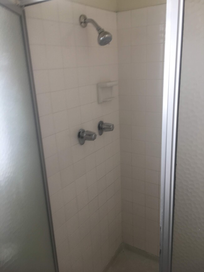 master bedroom shower - 11820 Mayfield Ave