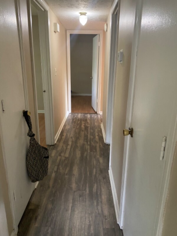 Building Photo - 6009 Stillridge Ct
