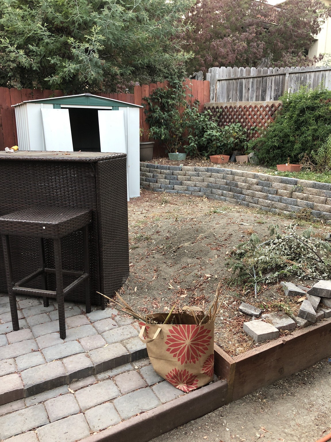 Backyard - 2515 Oliver Ave