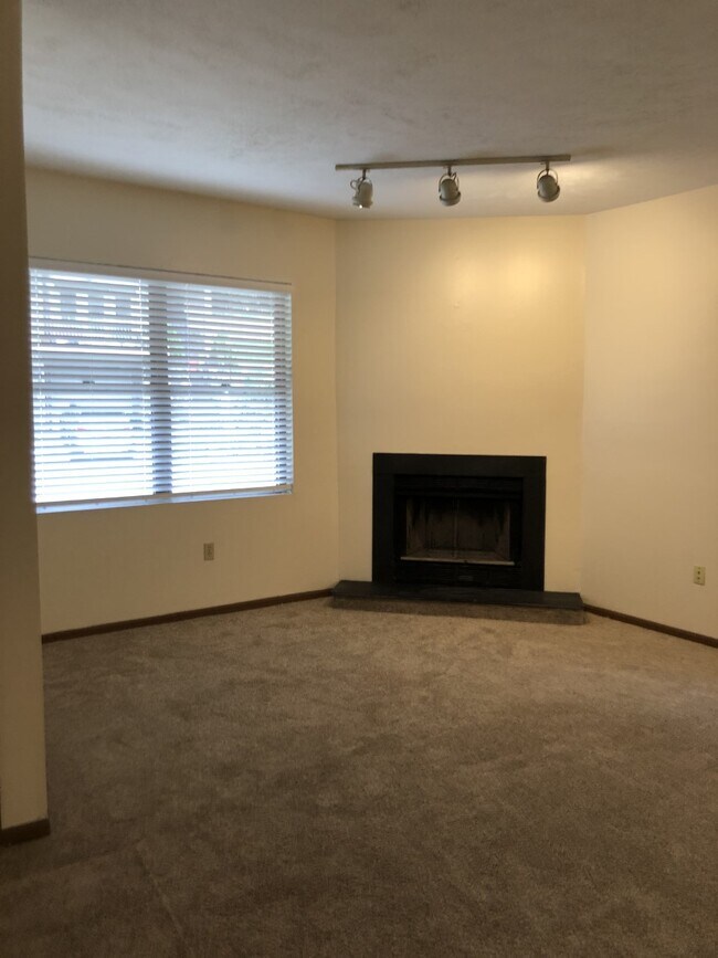 309 Shaler St 309 Shaler St Pittsburgh PA 15211 Apartment Finder