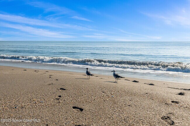 Building Photo - 1125 Jimmy Buffett Mem Hwy