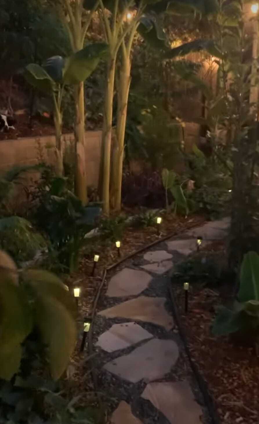 Building Photo - 395 Plaza Calimar