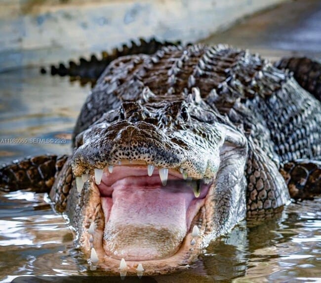 Building Photo - 302 NW 11th Ct