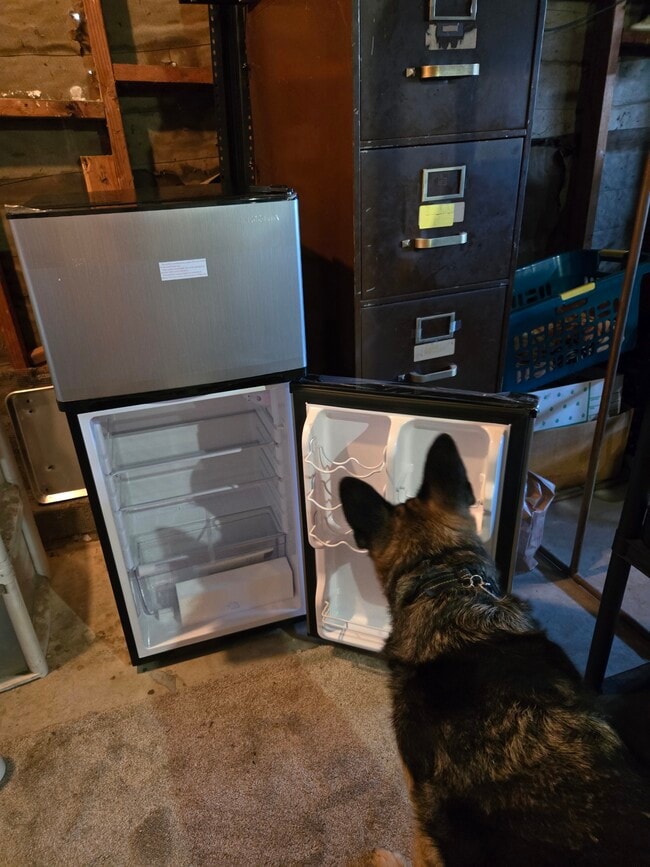 Building Photo - 1749 Old Mill Rd