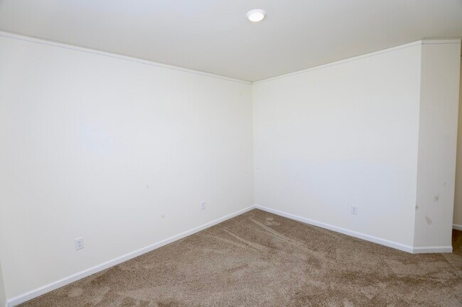 Building Photo - 1718 Canopy Dr