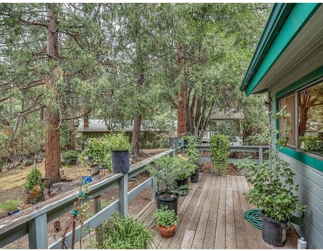 Building Photo - Large beautiful home in Idyllwild