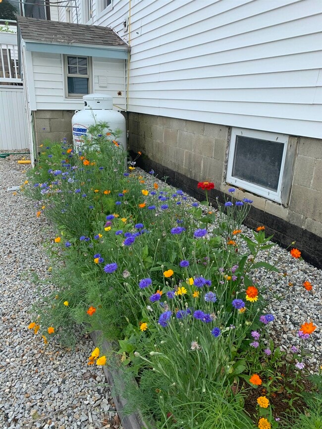 Building Photo - 293 Bear Hill Rd