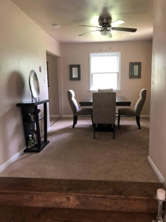 Building Photo - 589 Shelbourne Rd