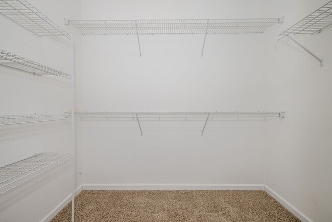 Building Photo - 528 Casey Ct