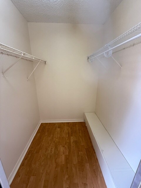 Building Photo - 5381 Elm Ct
