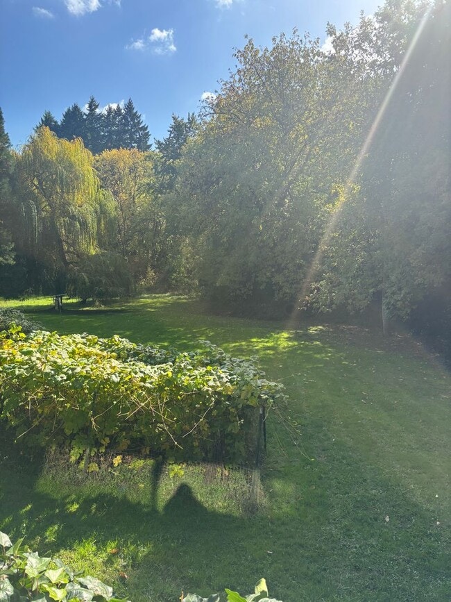 Building Photo - Enjoy 1.125 Acres near Downtown McMinnville